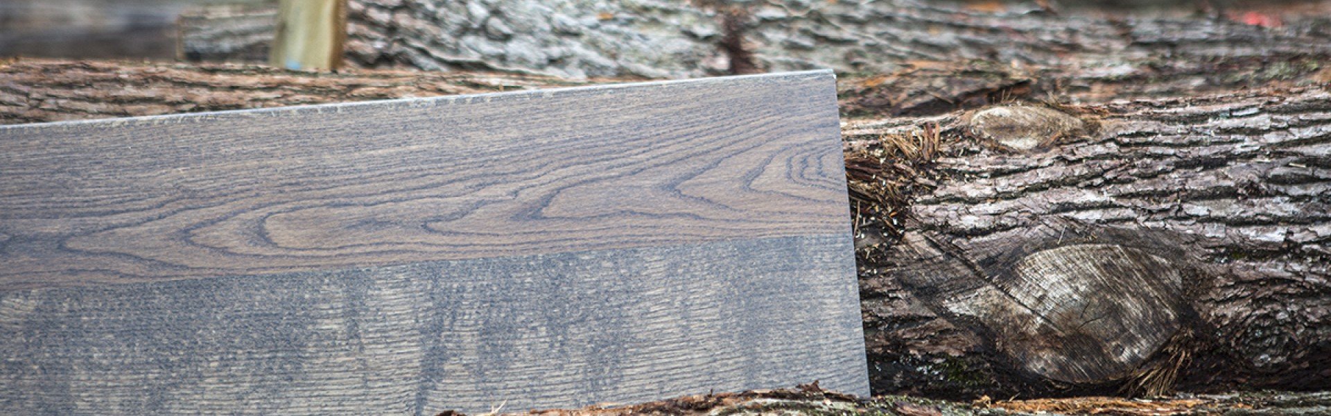 trapkleur van Daniels Real wood 16.jpg