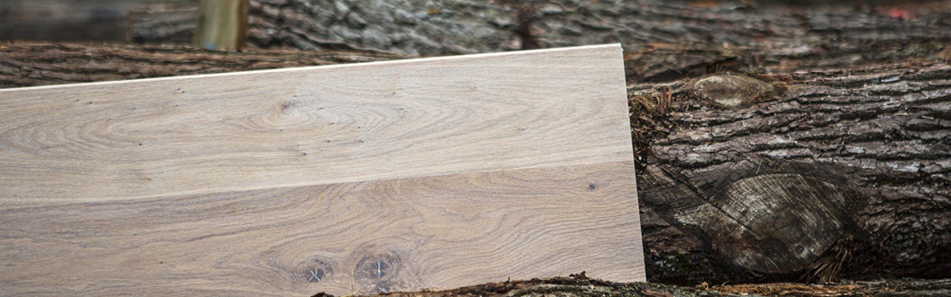 real wood 17 uit de Daniels kleurcollectie.jpg