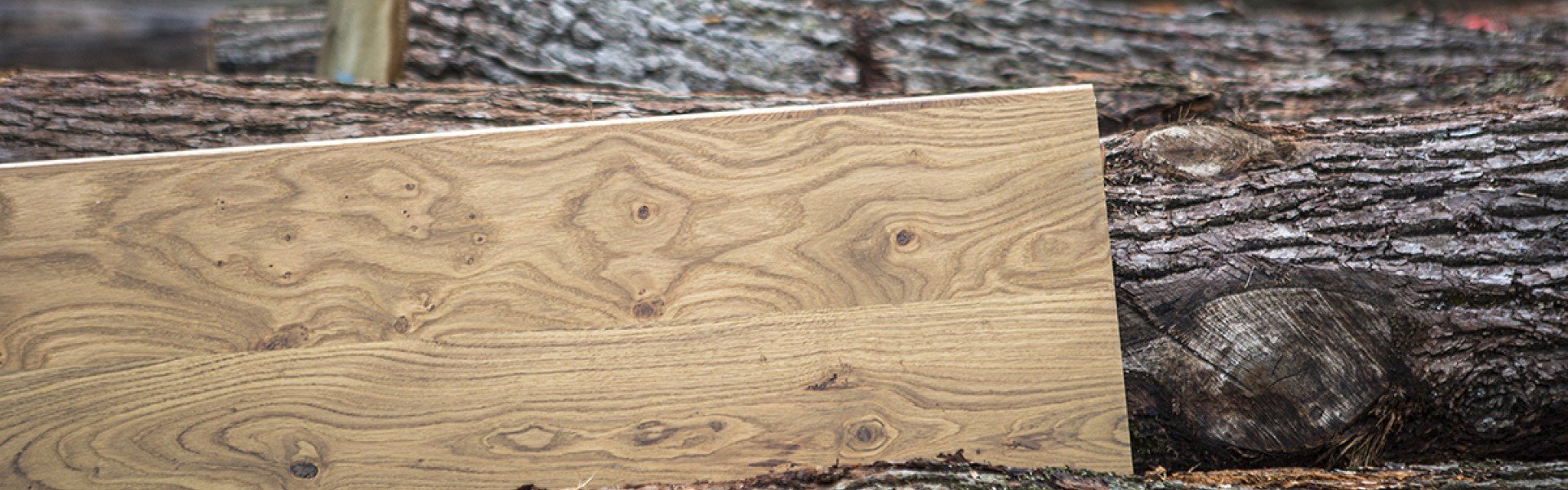 real wood 19 - trapkleur Daniels Traprenovatie.jpg