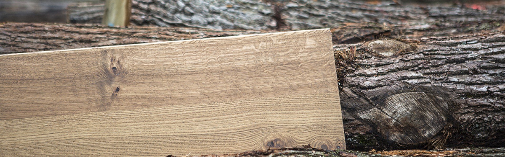 kleurcollectie treden Daniels - Real wood 21